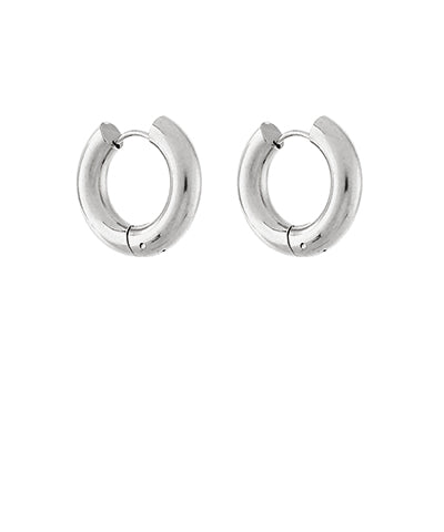 Stainless Steel Hoops